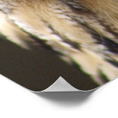 Eagle Owl Poster (Ecke)