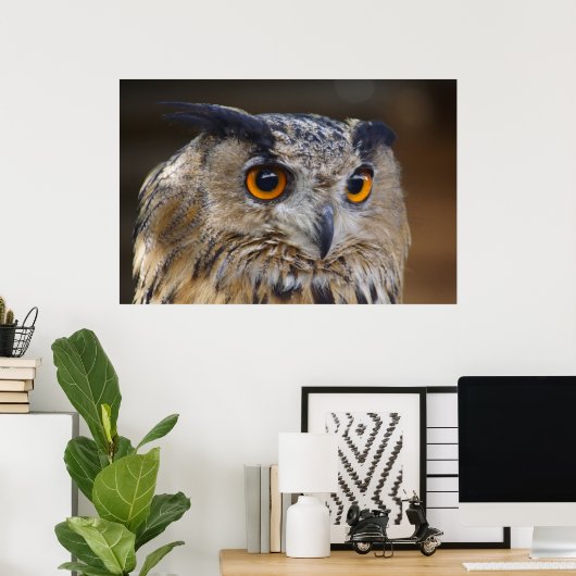 Eagle Owl Poster (Heimbüro)