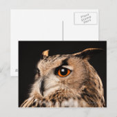 Eagle Owl Postkarte (Vorne/Hinten)