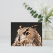 Eagle Owl Postkarte (Stehend Vorderseite)
