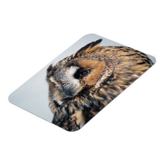 Eagle Owl Premium Magnet (Linke Seite)