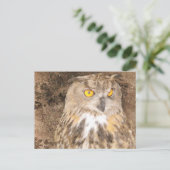 Eagle Owl Rugged Background Postkarte (Stehend Vorderseite)