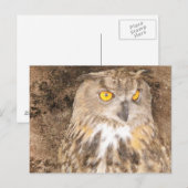 Eagle Owl Rugged Background Postkarte (Vorne/Hinten)
