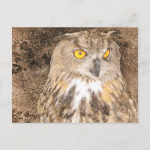 Eagle Owl Rugged Background Postkarte