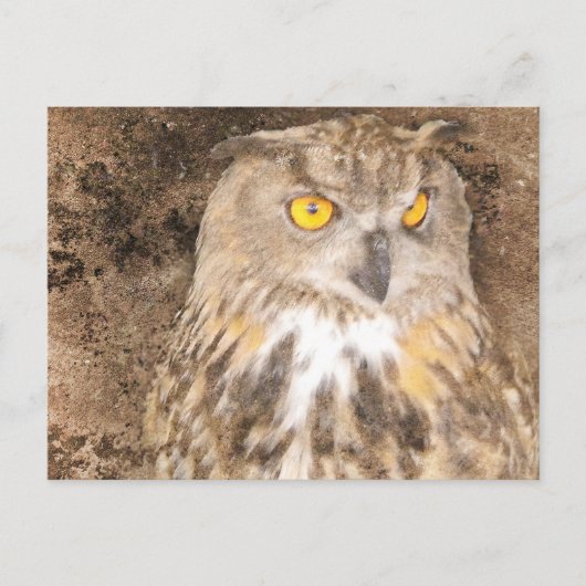 Eagle Owl Rugged Background Postkarte (Vorderseite)