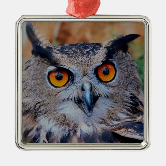 Eagle Owl Silbernes Ornament (Vorne)