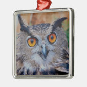 Eagle Owl Silbernes Ornament (Links)