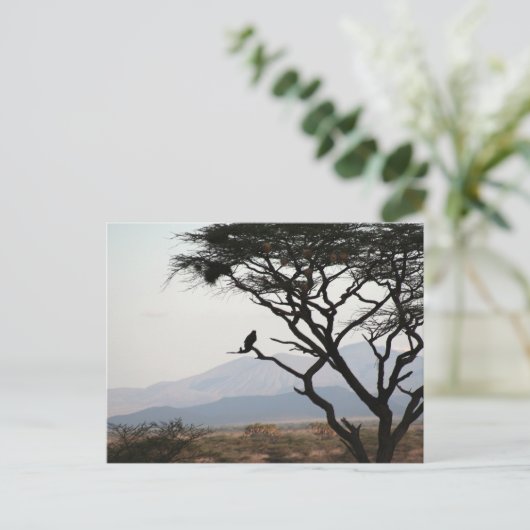 Eagle Owl Silhouette Postkarte (Stehend Vorderseite)