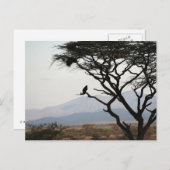 Eagle Owl Silhouette Postkarte (Vorne/Hinten)