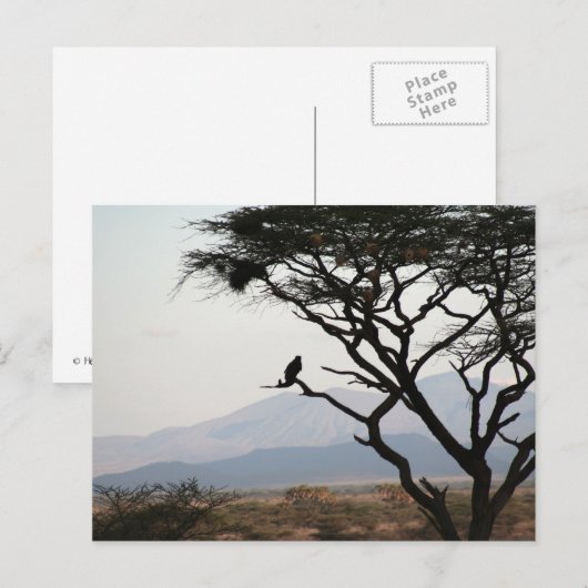 Eagle Owl Silhouette Postkarte (Vorne/Hinten)