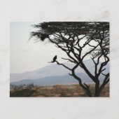 Eagle Owl Silhouette Postkarte (Vorderseite)