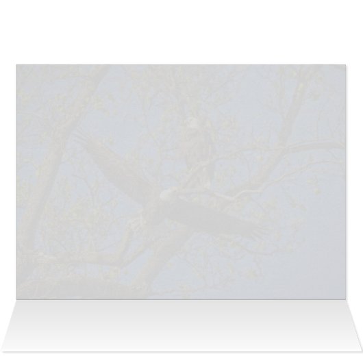 Eagle Pair (Innenansicht Horizontal (Oben))