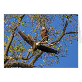 Eagle Pair (Vorderseite (Horizontal))