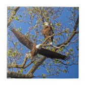 Eagle Pair Fliese (Vorderseite)