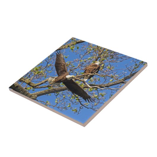 Eagle Pair Fliese (Seite)