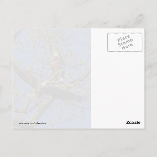 Eagle Pair Postkarte (Rückseite)