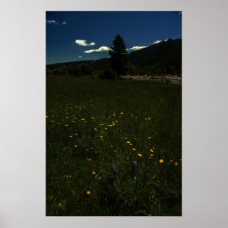 Eagle Park Wildblumen Poster