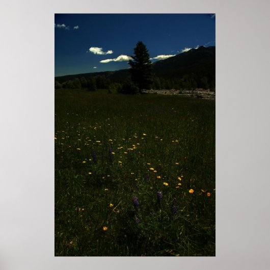 Eagle Park Wildblumen Poster (Vorne)