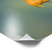 Eagle Picture Fotodruck (Ecke)
