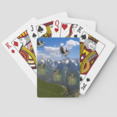 Eagle Playing Card Deck Spielkarten (Rückseite)