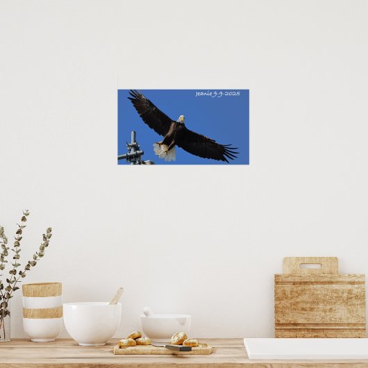 Eagle Poster (Küche)