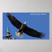 Eagle Poster (Vorne)
