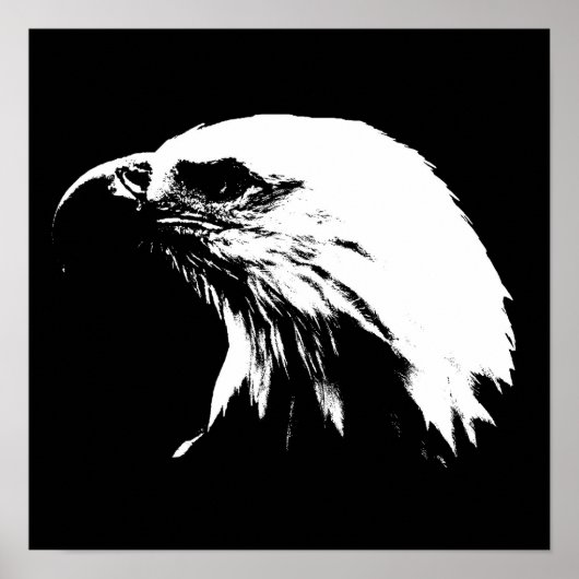 Eagle Poster (Vorne)