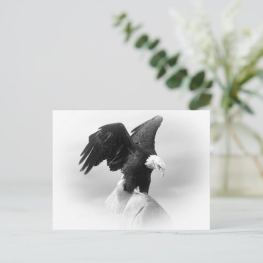 Eagle Postkarte (Stehend Vorderseite)