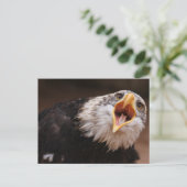 Eagle Postkarte (Stehend Vorderseite)