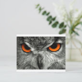 Eagle Postkarte (Stehend Vorderseite)