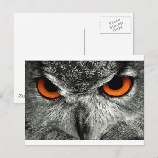 Eagle Postkarte (Vorne/Hinten)