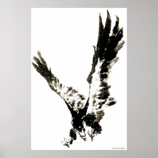 Eagle Print Poster (Vorne)