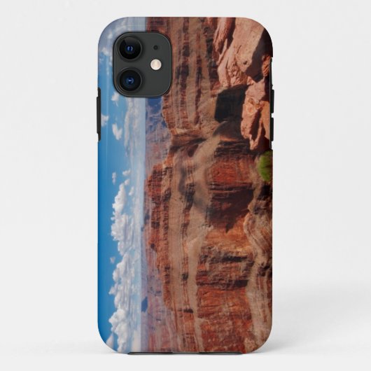 Eagle-Punkt Case-Mate iPhone Hülle (Rückseite)