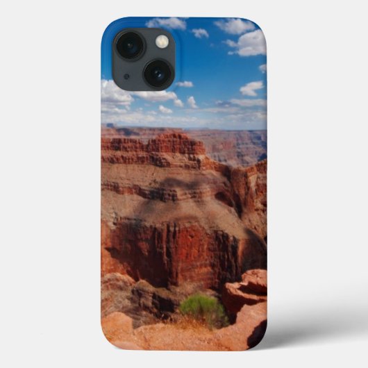 Eagle-Punkt Case-Mate iPhone Hülle (Rückseite)