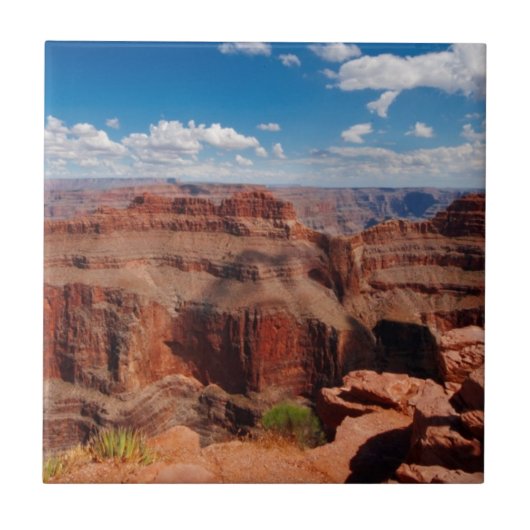 Eagle-Punkt Fliese (Vorderseite)