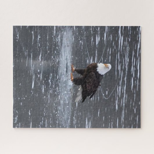 Eagle Puzzle, gefroren Puzzle (Horizontal)
