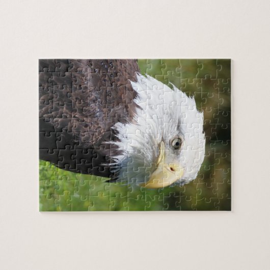 Eagle-Puzzlespiel Puzzle (Horizontal)