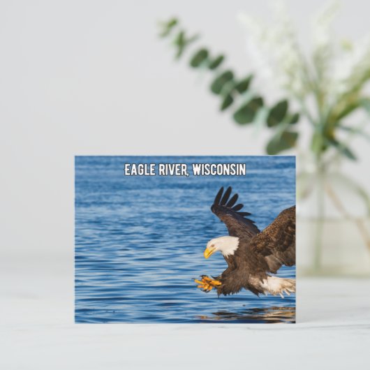 Eagle River Flying Eagle Wisconsin Postcard Postkarte (Stehend Vorderseite)