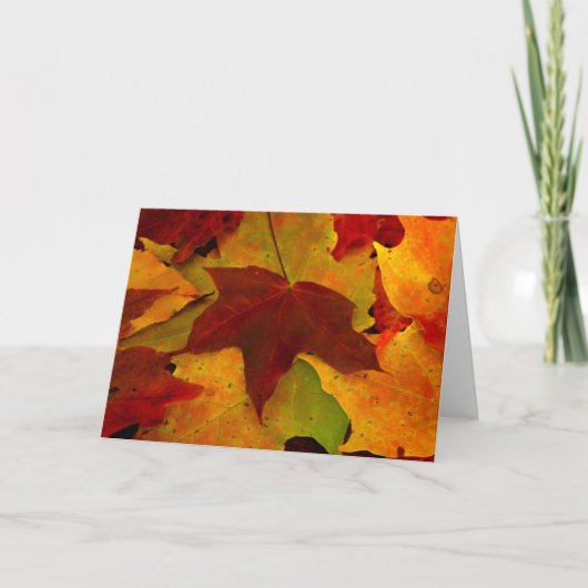 Eagle River Herbst Karte (Vorderseite)