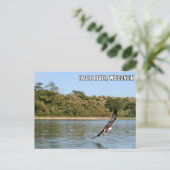 Eagle River, Wisconsin Postcard Postkarte (Stehend Vorderseite)