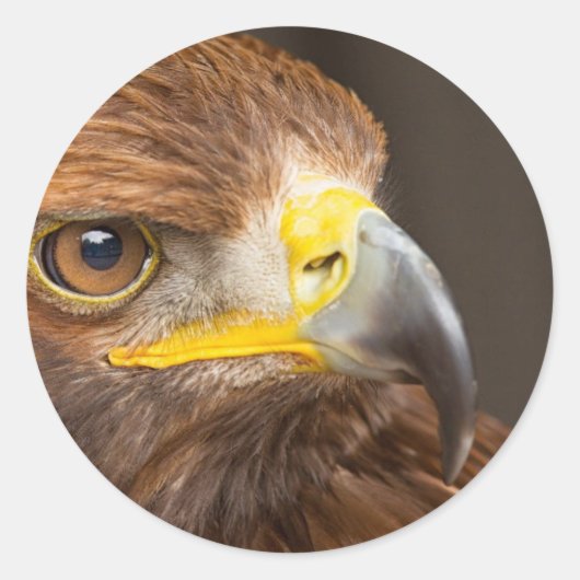 Eagle Round Sticker (Vorderseite)