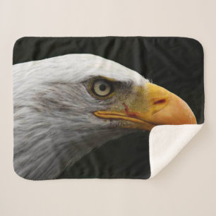 Eagle sbcn sherpadecke