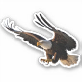 Eagle schlummernd aufkleber (Vorderseite)