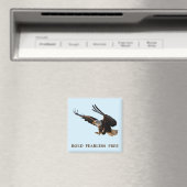 Eagle schlummernd magnet (In Situ (Geschirrspüler))