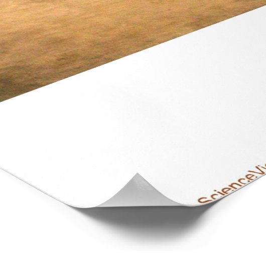 Eagle-Shawano Poster (Ecke)