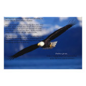 Eagle Soaring High Fotodruck (Vorne)