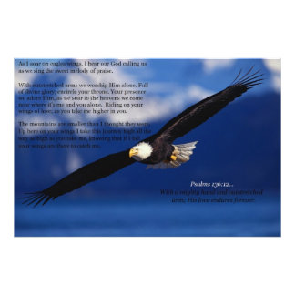 Eagle Soaring High Fotodruck