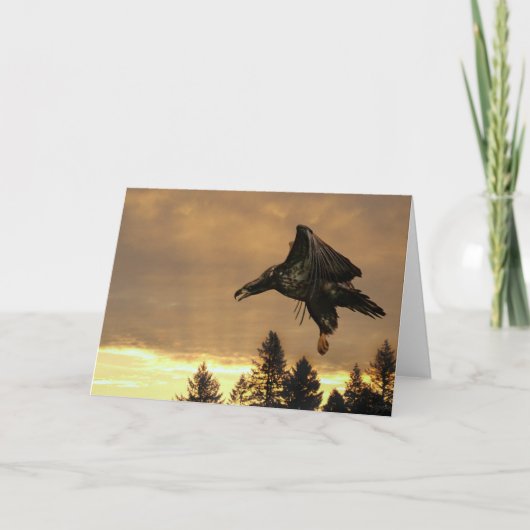 Eagle-Sonnenaufgang-Gruß-Karte Karte (Vorderseite)