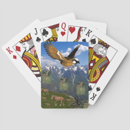 Eagle Spielkarten-Deck Spielkarten (Rückseite)