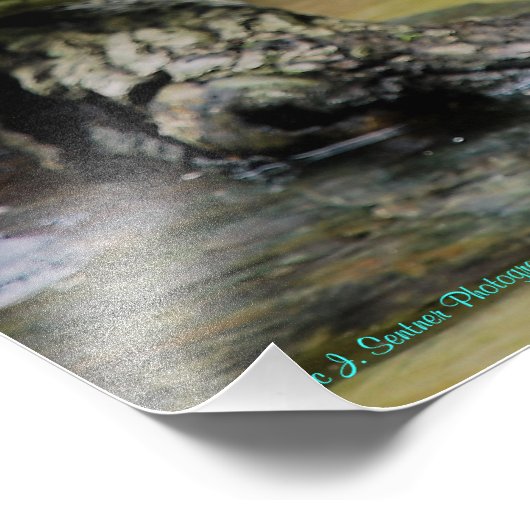 Eagle Spreading Wings Fotodruck (Ecke)